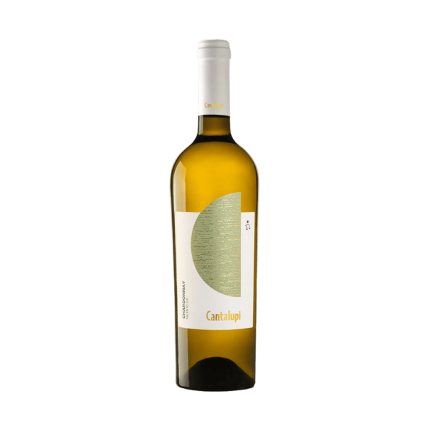 Chardonnay - Salento IGP - Cantalupi